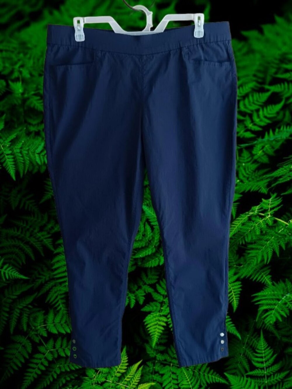 d & co. Signature Womens Pull On Crop Ankle Millennium Pants Blue Size XL